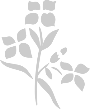 Flower vector