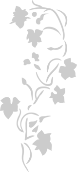 Flower vector
