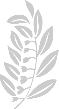 Flower vector