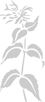 Flower vector