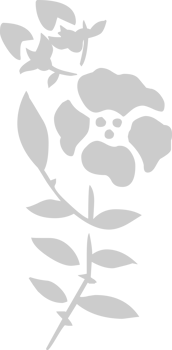 Flower vector