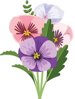 Pansy flower vector