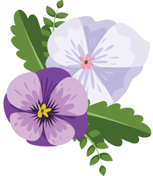 Pansy flower vector