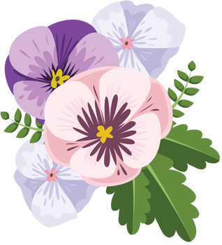 Pansy flower vector