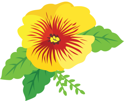 Colorful pansy flower vector