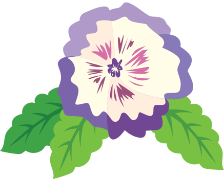 Colorful pansy flower vector
