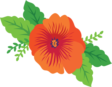 Colorful pansy flower vector