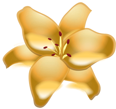 Lily flower vector