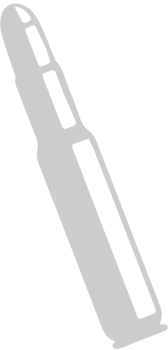 bullet vector