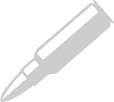 bullet vector