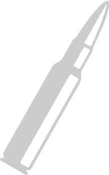 bullet vector