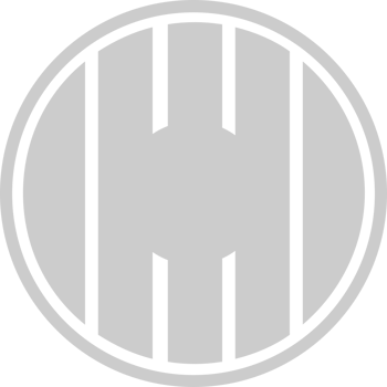 Shield vector