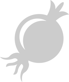 Vegetable vector