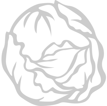 Vegetable vector