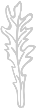 Vegetable vector