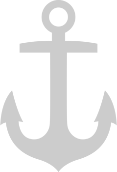 Anchor vector