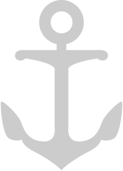 Anchor vector
