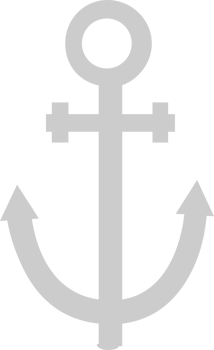 Anchor vector