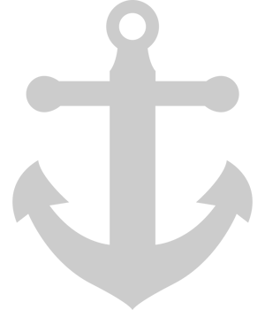 Anchor vector