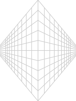 Geometric wire frame line vector