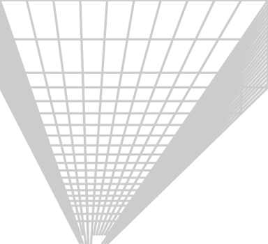 Geometric wire frame line vector