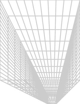 Geometric wire frame line vector