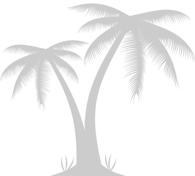 Palm Tree vector