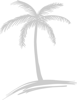 Palm Tree vector