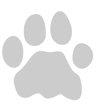 Paw vector