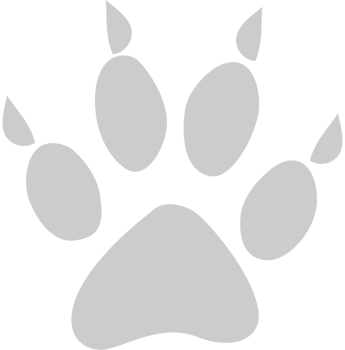 Paw vector
