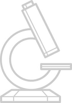 School vector