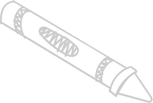 Crayon vector
