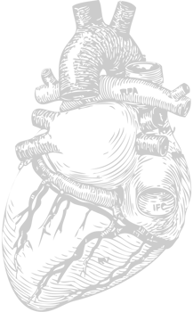 Human heart vector