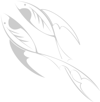 Pisces vector