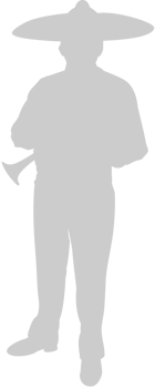 Mariachi player vector