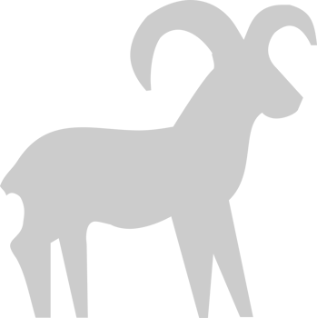 Aries vector