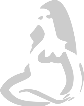 Virgo vector
