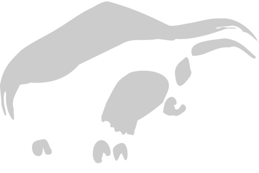 Taurus vector