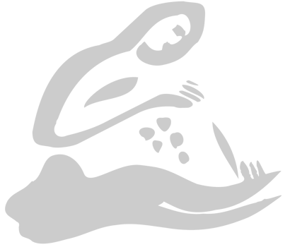 Aquarius vector