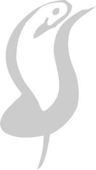 Pisces vector