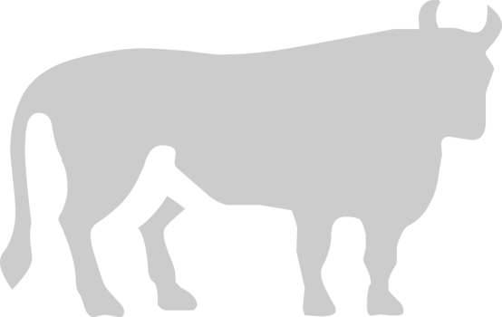 Taurus vector