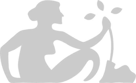 Virgo vector