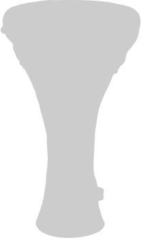 Percussion instrument djembe vector