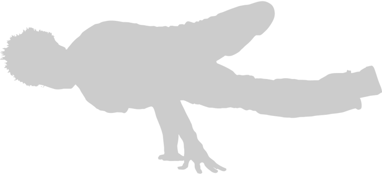 Breakdancer vector