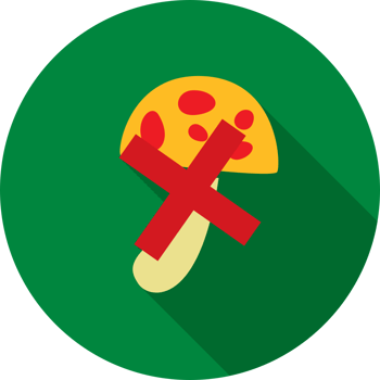 No drugs mushroom vector