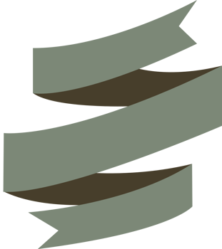 Ribbon vector