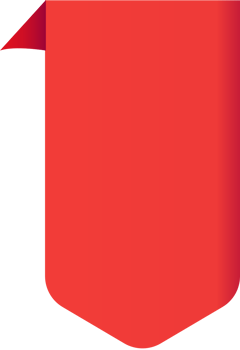 Bright color banner vector