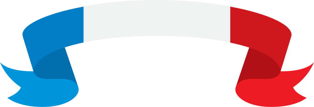 France ribbon vector