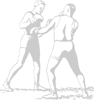 Boxing vector