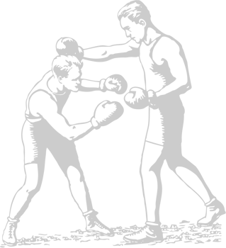 Boxing vector